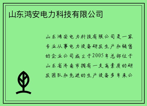 山东鸿安电力科技有限公司